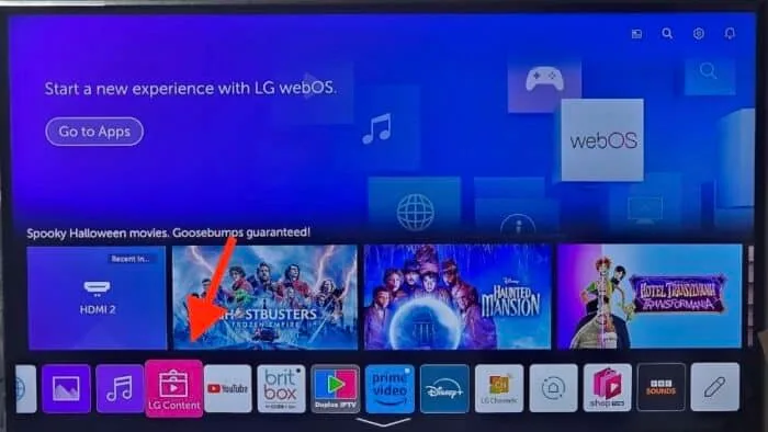 IBO Player on LG TV